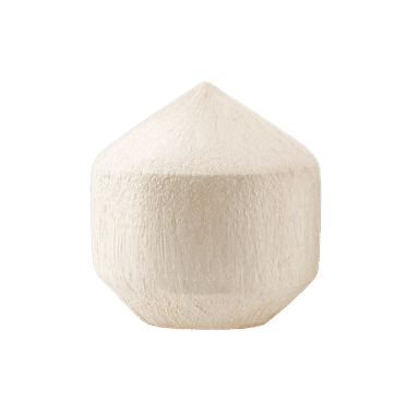 Fresh Diamond-shaped Coconut