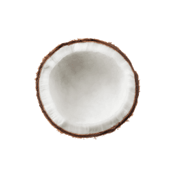 Dried Coconut